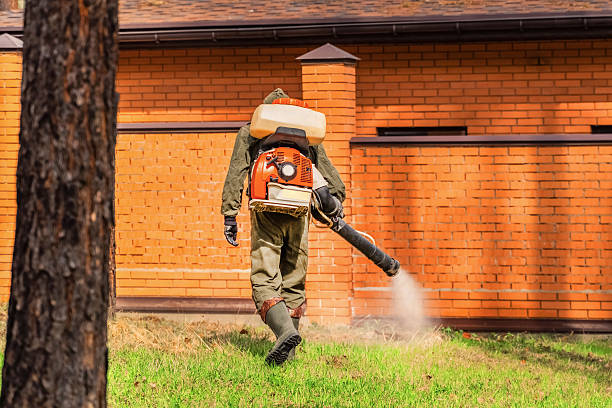 Trusted Ant Control service in Rosemont, PA - Nex Pest Control